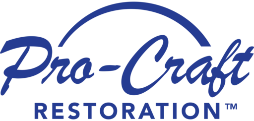 Pro-Craft Restoration